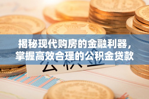 茂南揭秘现代购房的金融利器，掌握高效合理的公积金贷款流程